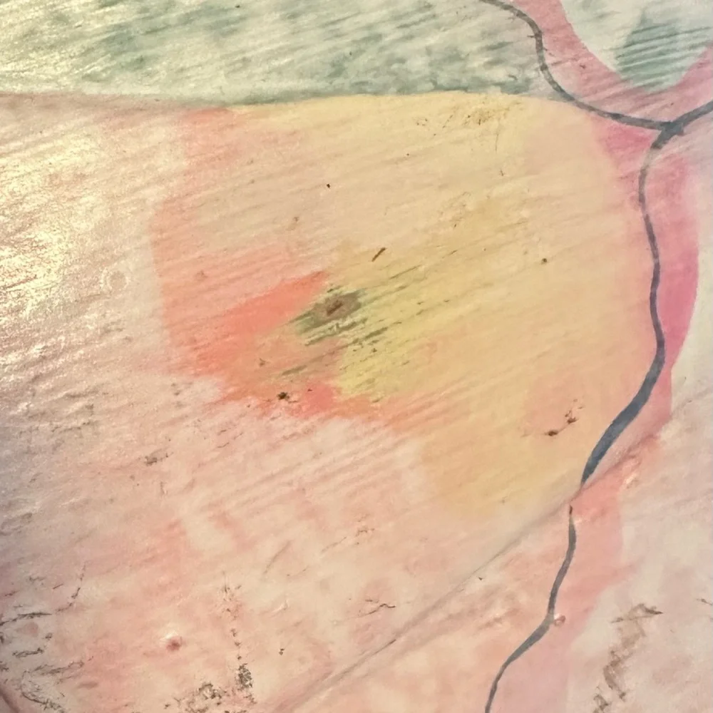 Pastel Hsnd-painted Fish - “A gift from Cape Cod” - 10 1/4 x 6”